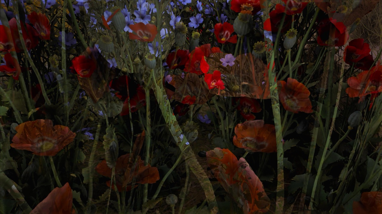 Studies on Breaking Immersion